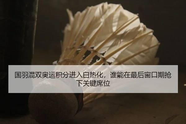 国羽混双奥运积分进入白热化，谁能在最后窗口期抢下关键席位